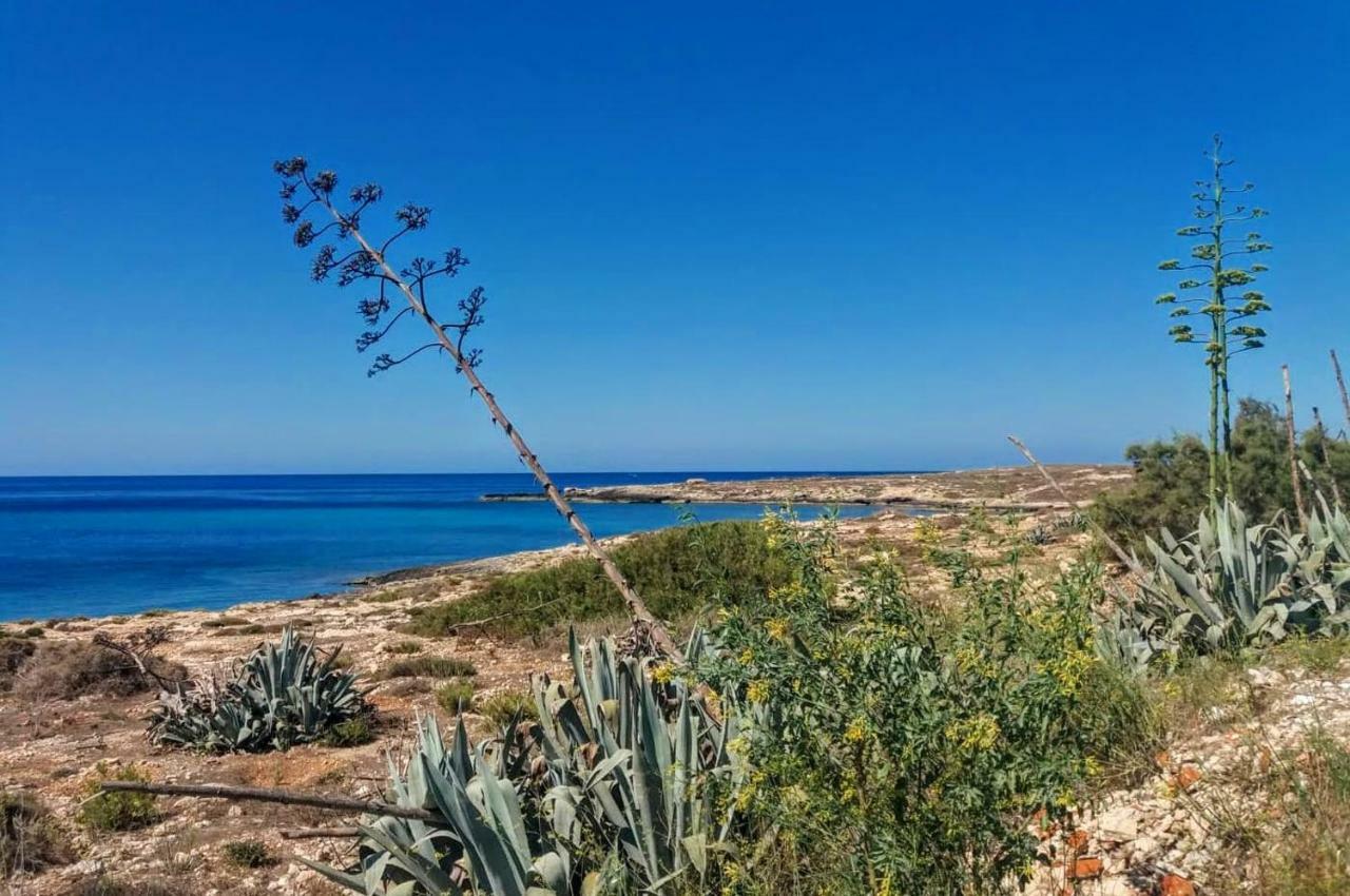 B&B Plaza Lampedusa Bagian luar foto