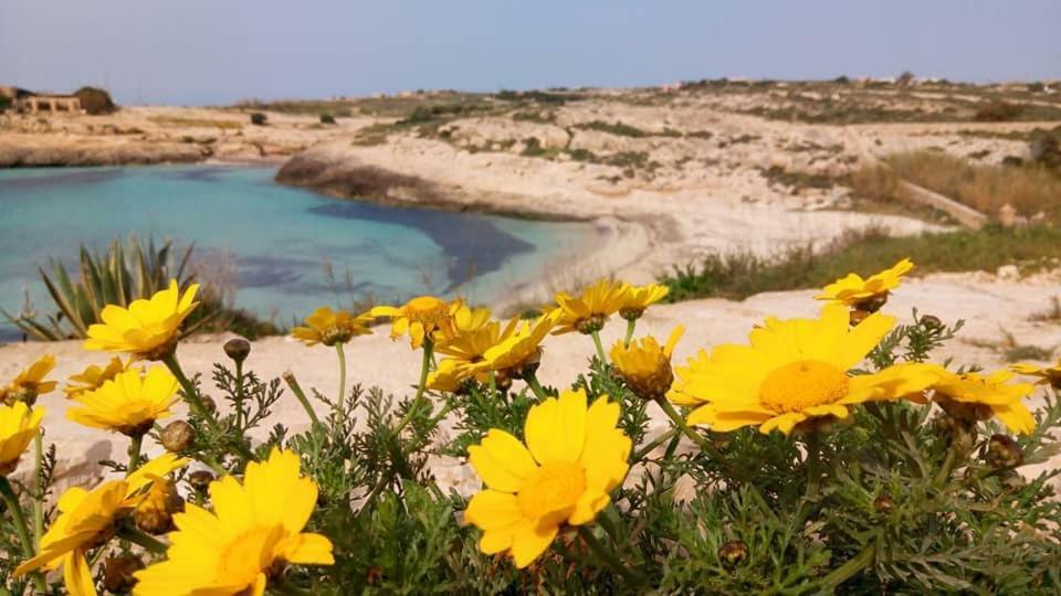 B&B Plaza Lampedusa Bagian luar foto